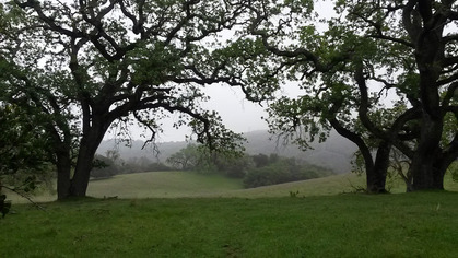 2015-02-17-rancho1