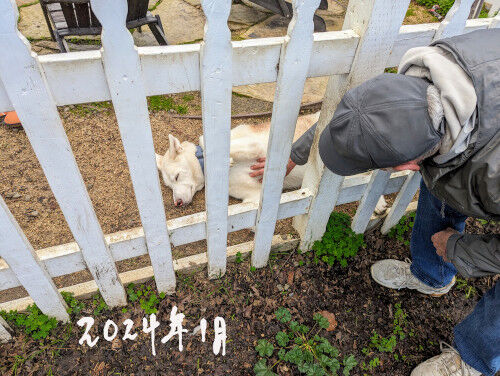 2025-08-22-mazra10