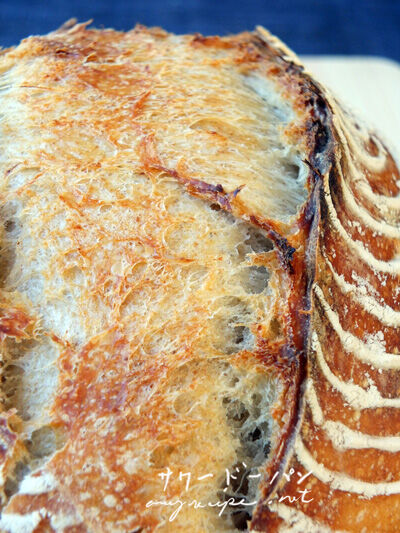 2020-07-25-sourdough2