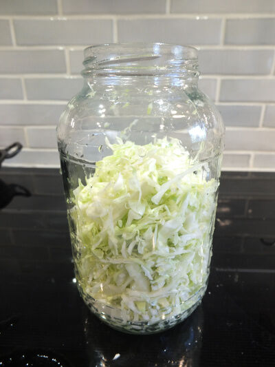 2025-06-23-cabbage2