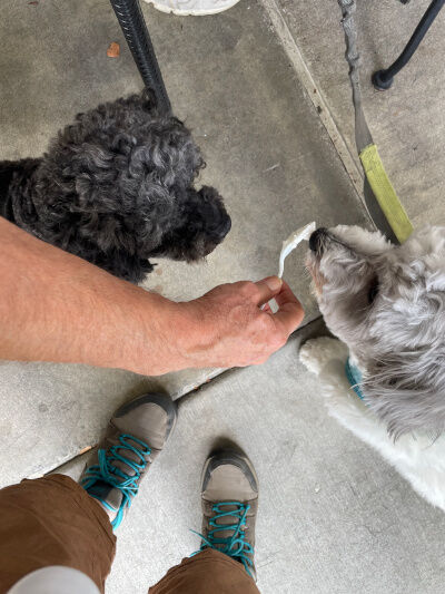 2025-08-19-oreocharlie2