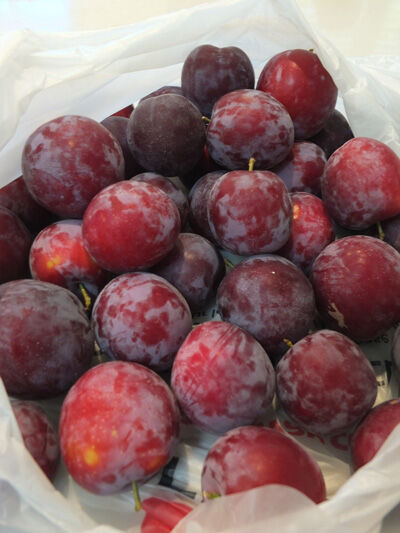 2020-06-27-plum2