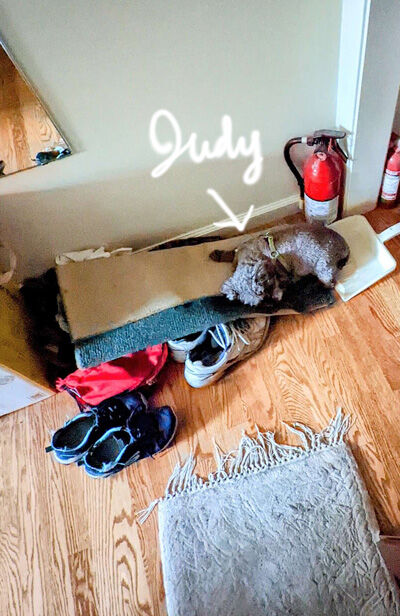 2022-04-24-judy6