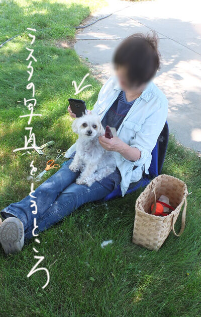 2020-07-28-rasta1