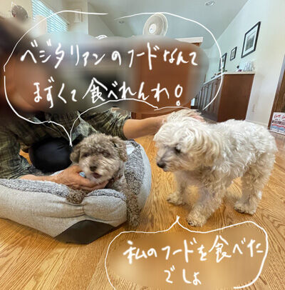 2022-08-18-rastajudy