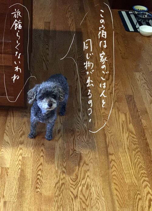 2021-08-18-judy1