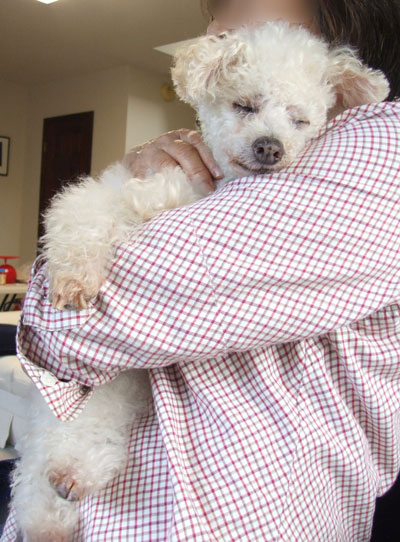 2016-03-09-chibi2