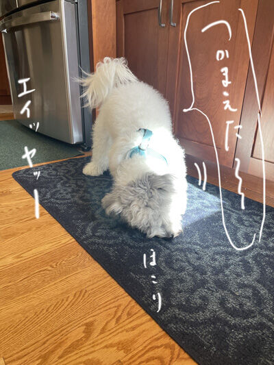 2024-02-06-charlie2