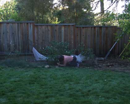 2015-05-26-berrypick4