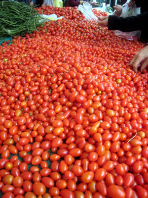 2010_11_05_tomatoes1