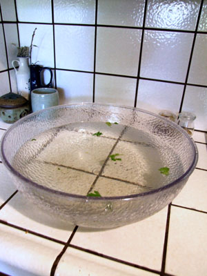 2012_07_18-bowl