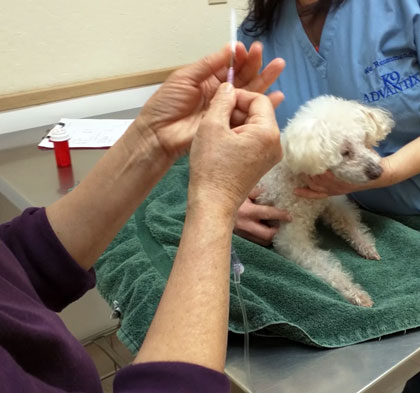 2015-01-19-injection