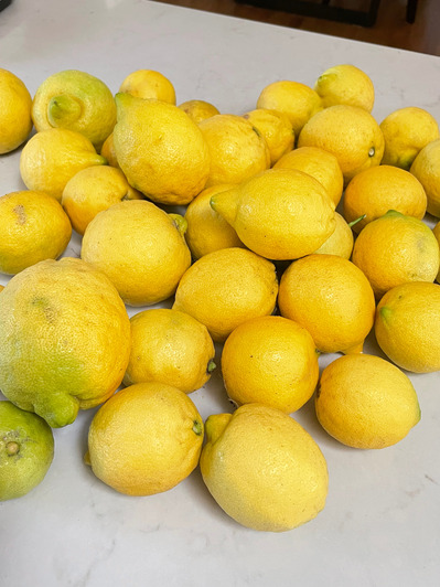 2026-06-16-lemon1