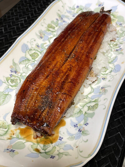 2024-04-20-unagi2