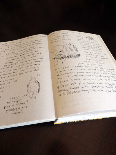 2026-07-18-bookbinding4