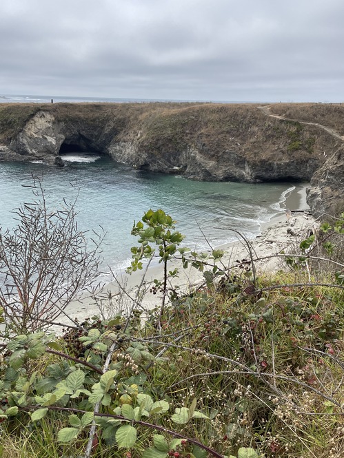 2025-08-29-mendocino (2)
