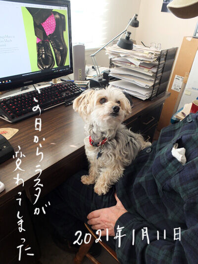 2021-04-09-rasta1