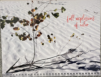 2023-12-26-calendar12