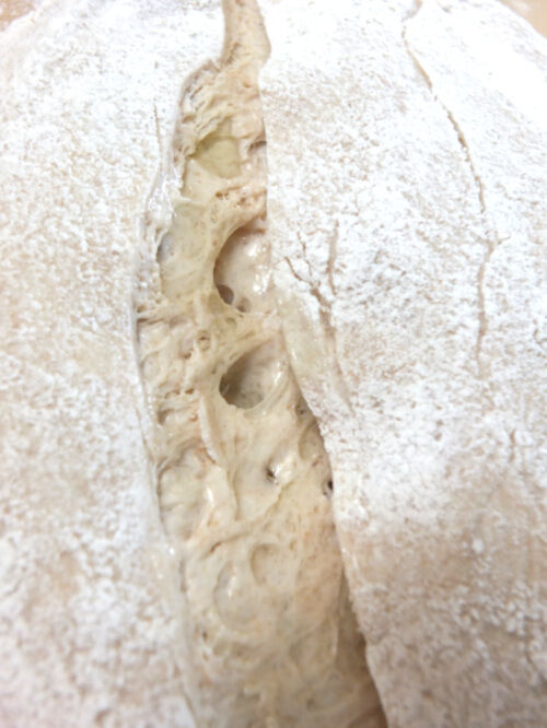 2025-09-08-bread2