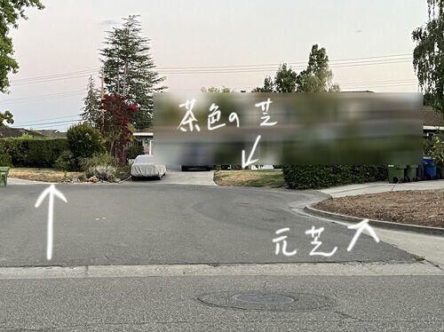 2022-08-01-lawn2