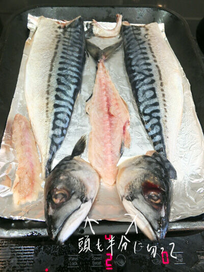 2022-04-14-fish2