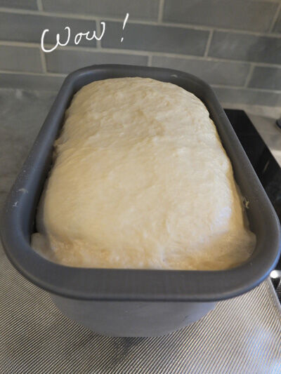2020-04-28-bread14