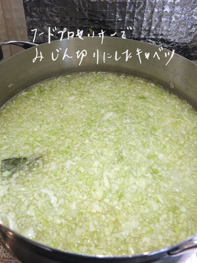2020-11-11-cabbage2
