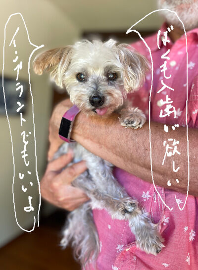 2024-09-13-rasta1