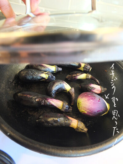 2020-10-18-eggplant2