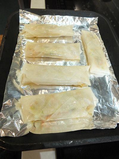 2019-04-06-springroll3