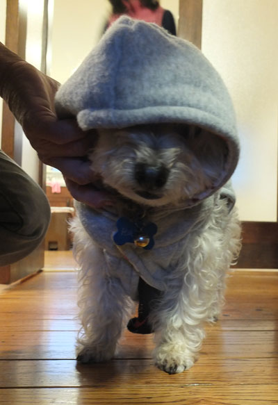 2019-12-11-rasta3