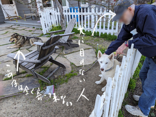 2024-02-28-dog