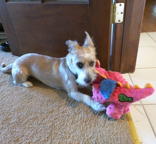 9E419343-76FD-4DCF-97B9-A60AEAF18527