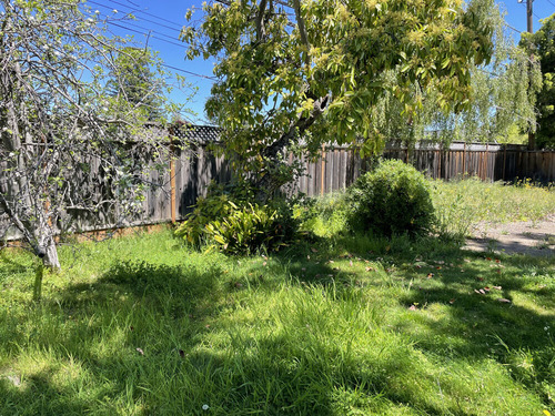 2024-04-28-yard3