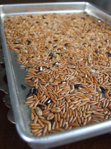 brownrice1
