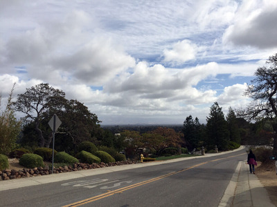 2020-11-07-walk1