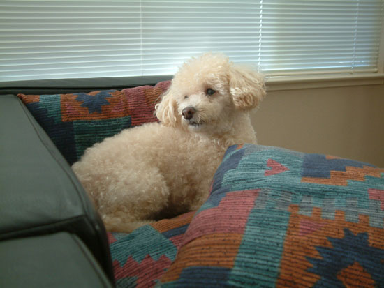 2017-11-09-santarosa4