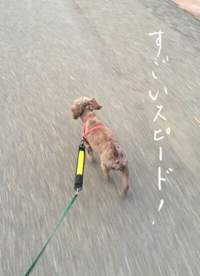 2020-07-03-judy3