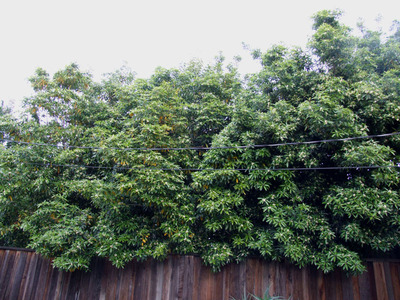 2012_07_07-before