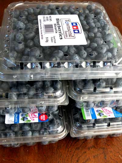 2017-08-06-blueberries1