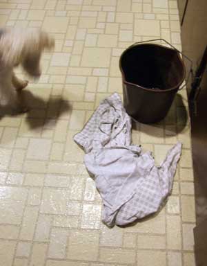 2014-08-05-rug1