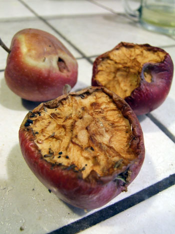 2012-09-11-rottonapple