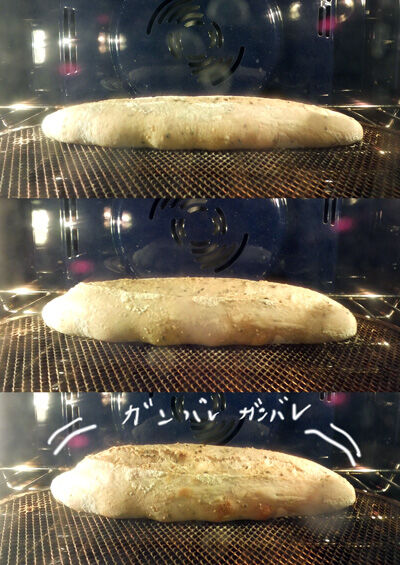 2021-01-30-sesame8