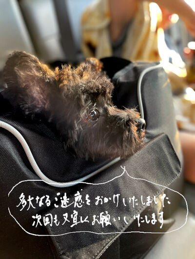 2024-10-15-kiki1