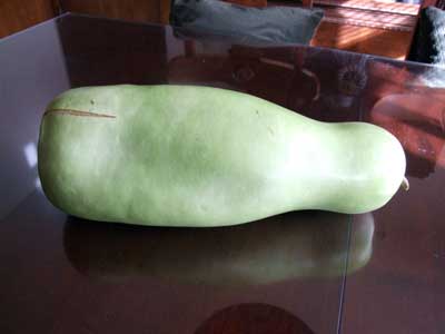 2014-11-20-melon1