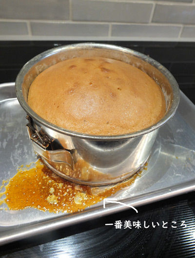 2019-03-09-chickenburger10