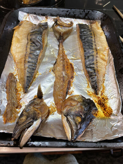 2022-04-14-fish3
