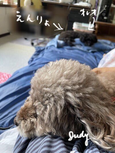 2023-12-27-oreo1