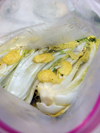 2018-11-15-tukemono5