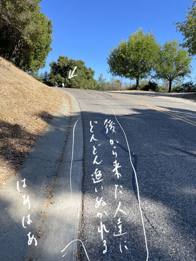 2024-07-19-walk1